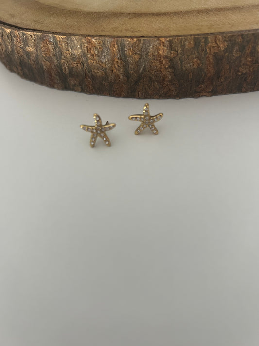 Boucle d’oreille Ambroise